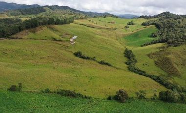 Finca, Vereda Vallepalito, La Union