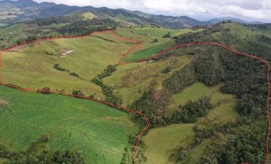 Finca, Vereda Vallepalito, La Union