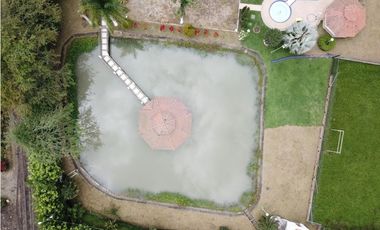 🌿 FINCA EN VENTA – CORREDOR BUGA BETANIA, VALLE DEL CAUCA