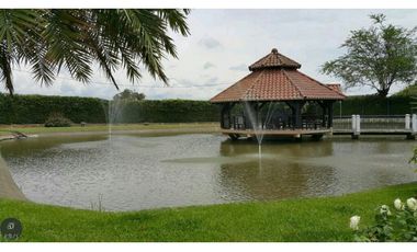 🌿 FINCA EN VENTA – CORREDOR BUGA BETANIA, VALLE DEL CAUCA