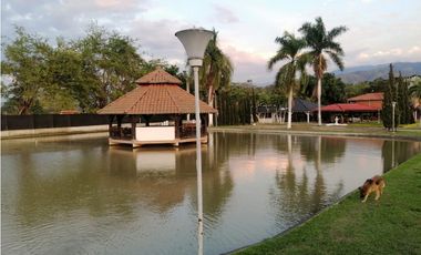 🌿 FINCA EN VENTA – CORREDOR BUGA BETANIA, VALLE DEL CAUCA