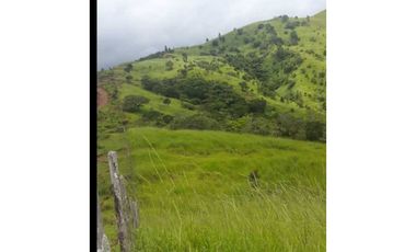 VENDO FINCA DE  39 HECTAREAS EN REMATE EN GUALACA