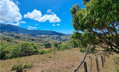 VENDO FINCA DE  39 HECTAREAS EN REMATE EN GUALACA