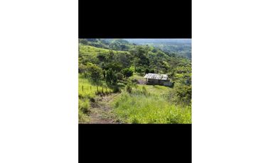 VENDO FINCA DE  39 HECTAREAS EN REMATE EN GUALACA