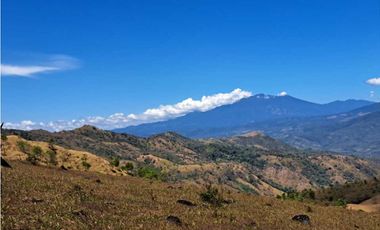 VENDO FINCA DE  39 HECTAREAS EN REMATE EN GUALACA