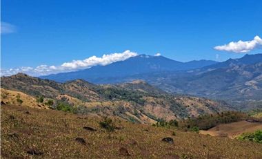 VENDO FINCA DE  39 HECTAREAS EN REMATE EN GUALACA