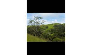 VENDO FINCA DE  39 HECTAREAS EN REMATE EN GUALACA