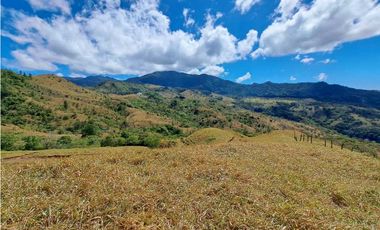 VENDO FINCA DE  39 HECTAREAS EN REMATE EN GUALACA