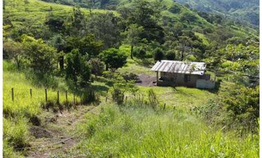 VENDO FINCA DE  39 HECTAREAS EN REMATE EN GUALACA