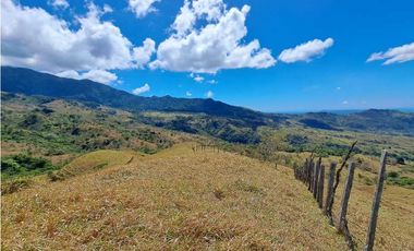 VENDO FINCA DE  39 HECTAREAS EN REMATE EN GUALACA