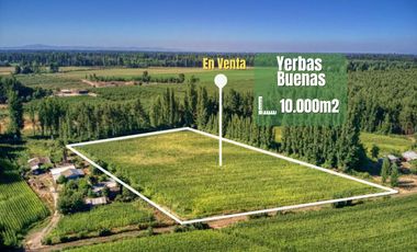 Terreno en venta en yerbas buenas - Excelente