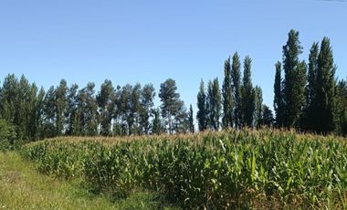 Terreno en venta en yerbas buenas - Excelente