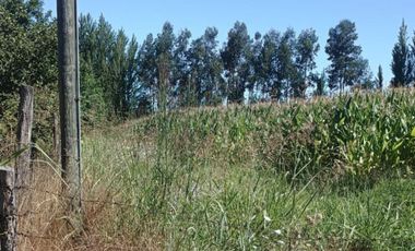 Terreno en venta en yerbas buenas - Excelente