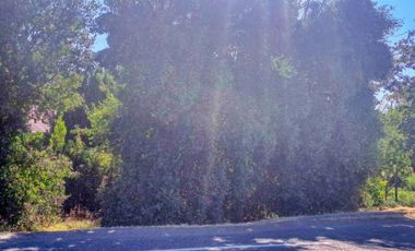 Terreno en venta en yerbas buenas - Excelente