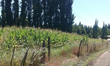 Terreno en venta en yerbas buenas - Excelente