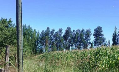 Terreno en venta en yerbas buenas - Excelente