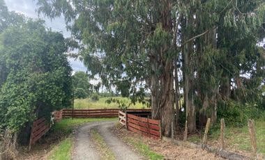 5,85 HA EN LA UNIOPN ,SECTOR ROFUCO BAJO CON AGUA Y LUZ