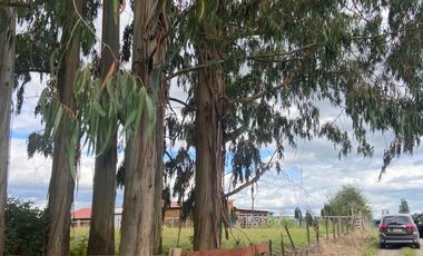 5,85 HA EN LA UNIOPN ,SECTOR ROFUCO BAJO CON AGUA Y LUZ