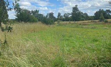 5,85 HA EN LA UNIOPN ,SECTOR ROFUCO BAJO CON AGUA Y LUZ