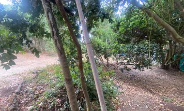 Arriendo año corrido cabaña condominio mantagua