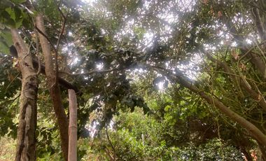 Arriendo año corrido cabaña condominio mantagua