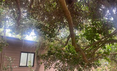 Arriendo año corrido cabaña condominio mantagua