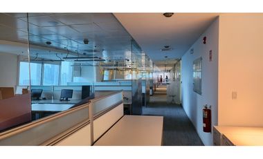 Alquiler de Oficina en Punta Pacifica PH Torre las Americas