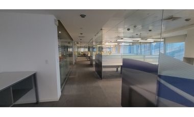 Alquiler de Oficina en Punta Pacifica PH Torre las Americas