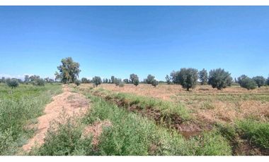 VENTA DE FINCA 22 HAS EN CARRIL BUEN ORDEN- SAN MARTIN, MZA