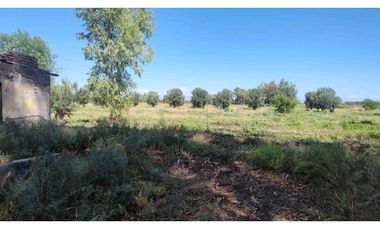 VENTA DE FINCA 22 HAS EN CARRIL BUEN ORDEN- SAN MARTIN, MZA