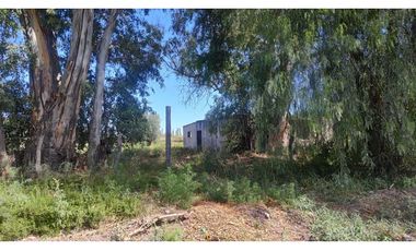 VENTA DE FINCA 22 HAS EN CARRIL BUEN ORDEN- SAN MARTIN, MZA