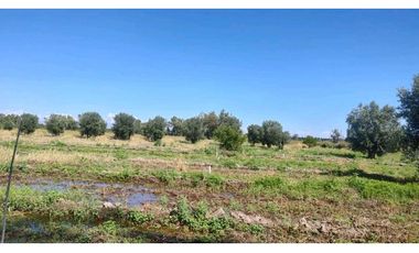 VENTA DE FINCA 22 HAS EN CARRIL BUEN ORDEN- SAN MARTIN, MZA