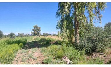 VENTA DE FINCA 22 HAS EN CARRIL BUEN ORDEN- SAN MARTIN, MZA