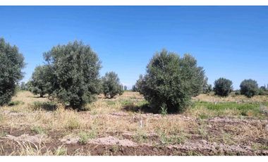 VENTA DE FINCA 22 HAS EN CARRIL BUEN ORDEN- SAN MARTIN, MZA