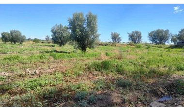 VENTA DE FINCA 22 HAS EN CARRIL BUEN ORDEN- SAN MARTIN, MZA