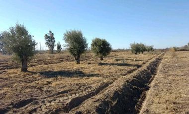 VENTA DE FINCA 22 HAS EN CARRIL BUEN ORDEN- SAN MARTIN, MZA
