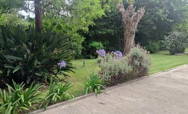 Casa 4 amb Quinta Venta-Ricardo Rojas-Lote 1260 m2