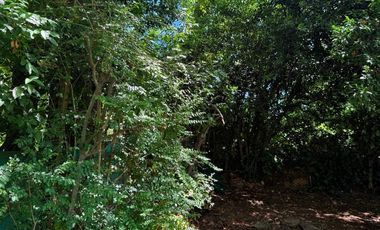 Casa 4 amb Quinta Venta-Ricardo Rojas-Lote 1260 m2