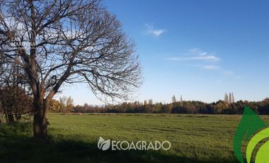 Parcela en venta  en CHILLÁN