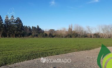 Parcela en venta  en CHILLÁN