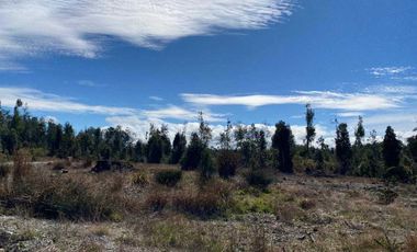 Parcela en venta  en ANCUD