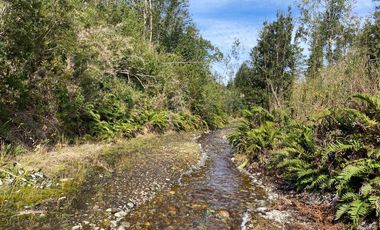 Parcela en venta  en ANCUD