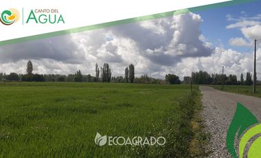 Parcela en venta  en CHILLÁN