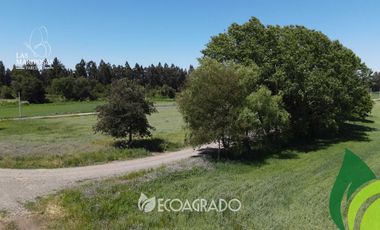 Parcela en venta  en CHILLÁN