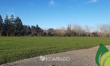 Parcela en venta  en CHILLÁN