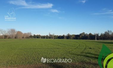 Parcela en venta  en CHILLÁN