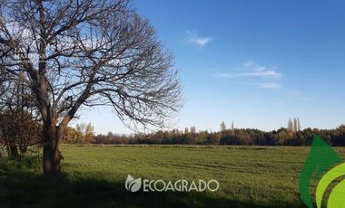 Parcela en venta  en CHILLÁN
