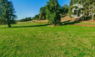 Parcela en Venta en Condominio Fundo El Mirador, Futrono