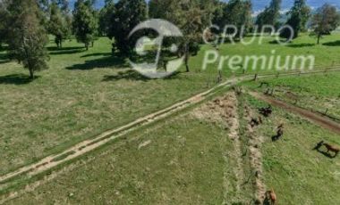 Parcela en Venta en Condominio Fundo El Mirador, Futrono