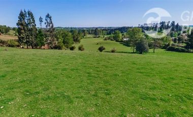 Parcela en Venta en Condominio Fundo El Mirador, Futrono